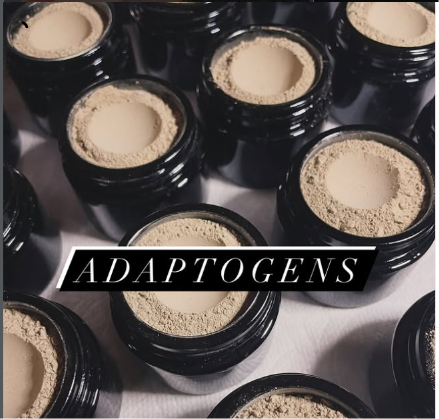 Rows of small black glass jars filled with adaptogenic mushroom powder