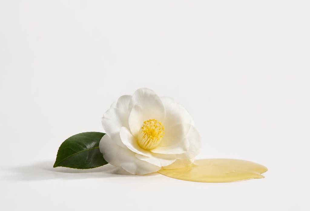 White camellia flowers resting on a warm cream linen towel